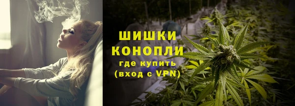ПСИЛОЦИБИНОВЫЕ ГРИБЫ Карталы