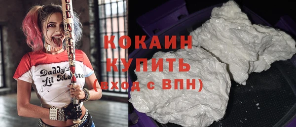 ПСИЛОЦИБИНОВЫЕ ГРИБЫ Карталы