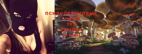 ПСИЛОЦИБИНОВЫЕ ГРИБЫ Карталы