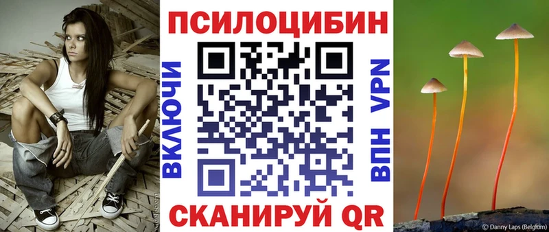 Псилоцибиновые грибы прущие грибы  Купить где  Вилючинск 